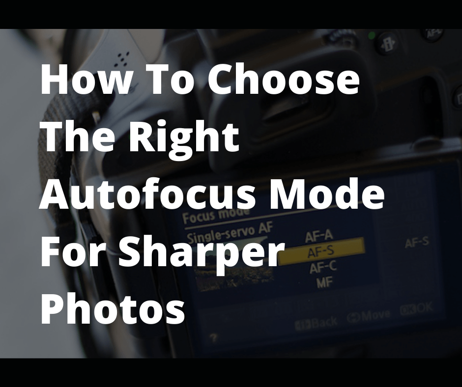 How To Choose The Right Autofocus Mode For Sharper Photos | GoPixelr