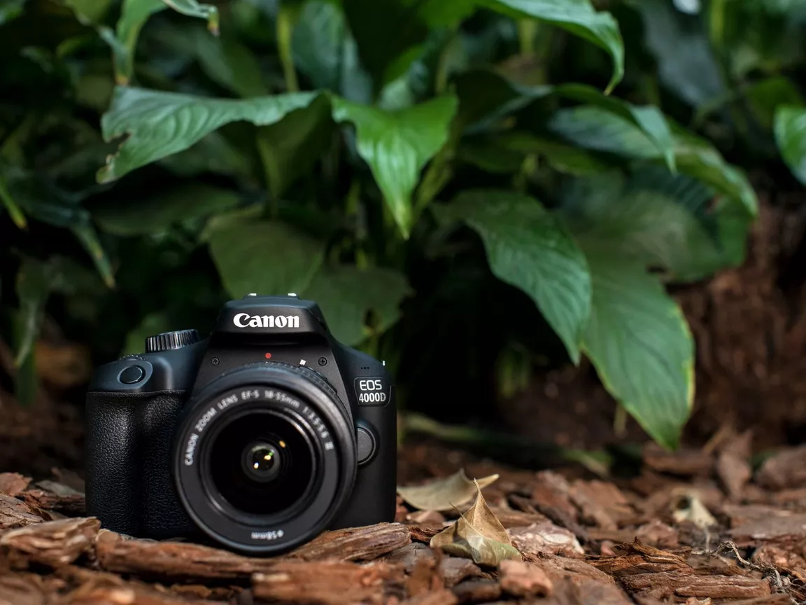5 Amazing Entry-Level Digital Cameras for Vlogging